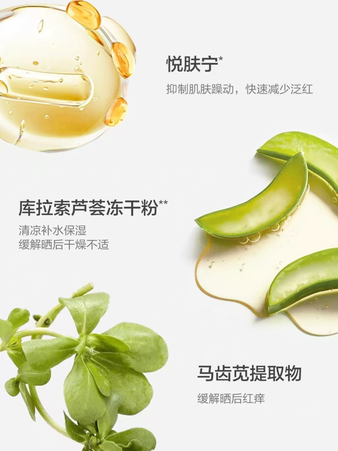 Baby Elephant Baby Cooling Cream 50g 红色小象婴童冰雪霜