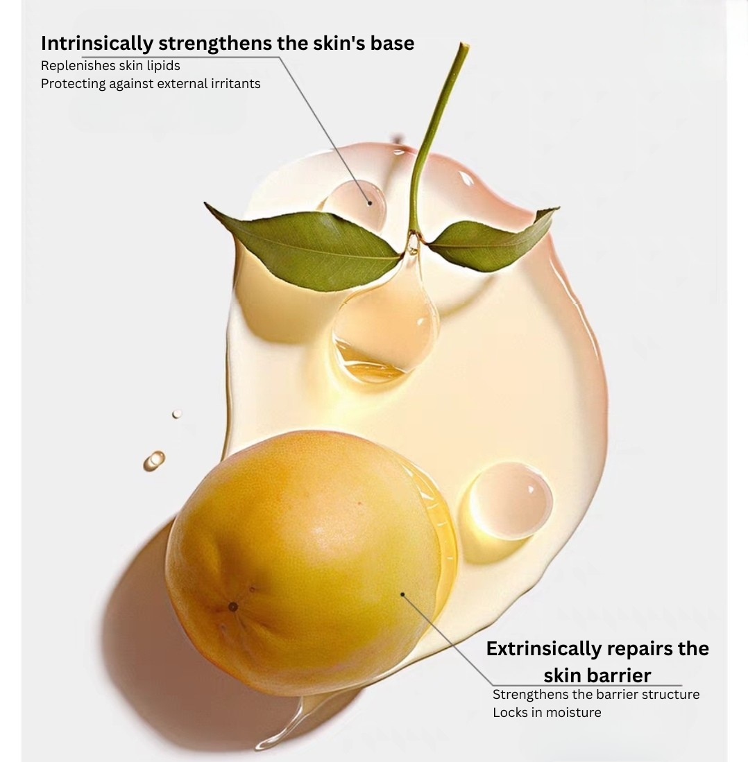 Baby Elephant Primary School Cream 50g 红色小象小学霜