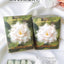 Babycare Camellia Soft Touch Nursing Pads 100pcs/120pcs Babycare山茶花轻柔防溢乳垫