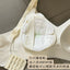 Babycare Camellia Soft Touch Nursing Pads 100pcs/120pcs Babycare山茶花轻柔防溢乳垫
