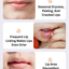 Hipapa Plant Extract Lip Balm 3.5g 海龟爸爸植萃润唇膏