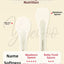 YEEHOO KIDS Bamboo Leaf Handle Silicone Soft Spoon 2pcs 英氏竹叶柄硅胶软勺