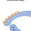 YEEHOO KIDS Silicone Bib 英氏硅胶围兜