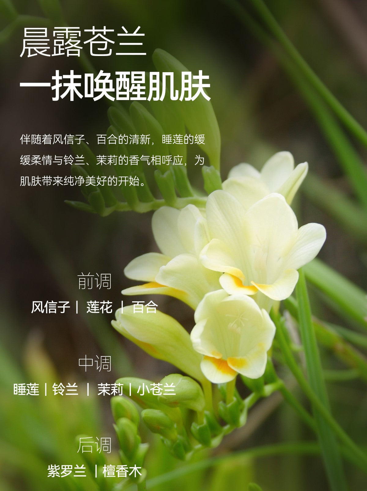 YUMEIJING Ultra Moisturizing Milk Can Cream 200g 郁美净高保湿奶罐霜